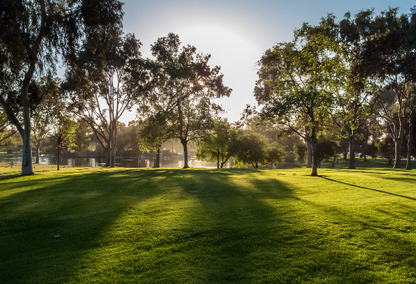 A sunny park in Fountain Valley California with lush green grass, tall trees providing shade and a lake in the background.
